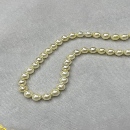 Akoya Pearl Cream Color, Round Shape, AAA Luster Pearl, 5-5.5 MM Size
