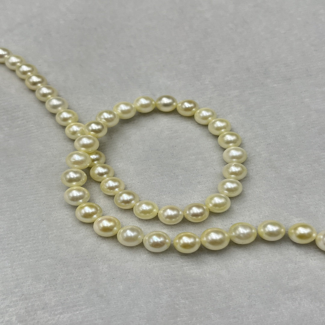 Akoya Pearl Cream Color, Round Shape, AAA Luster Pearl, 5-5.5 MM Size