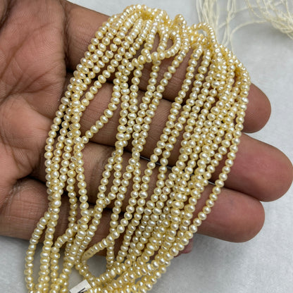 Fresh Water Pearl, Light Golden Color, Flat Shape, 2.5 MM Size
