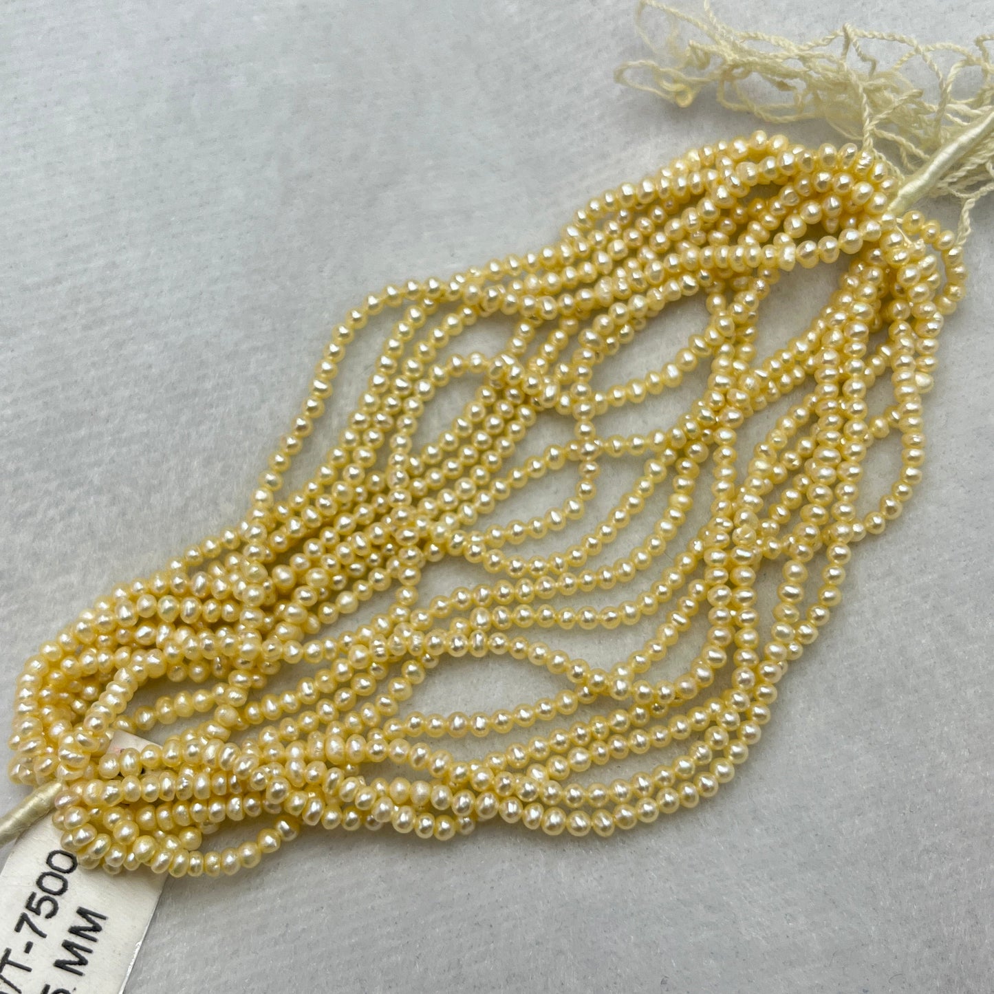 Fresh Water Pearl, Light Golden Color, Flat Shape, 2.5 MM Size