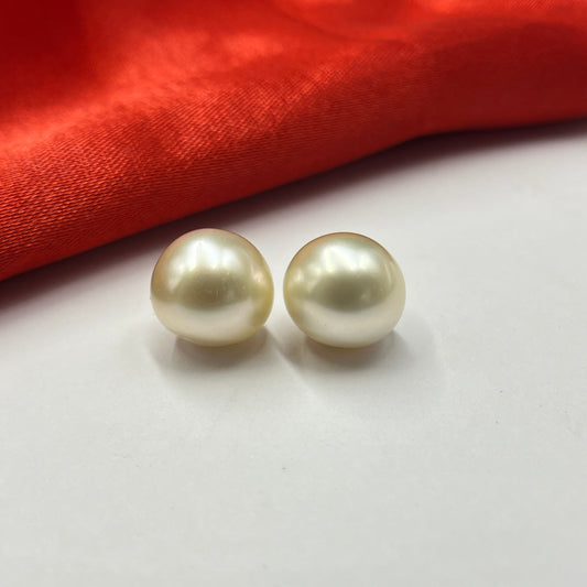 South Sea Pearl | Light Golden Color| Button Shape| 11.5MM  Size