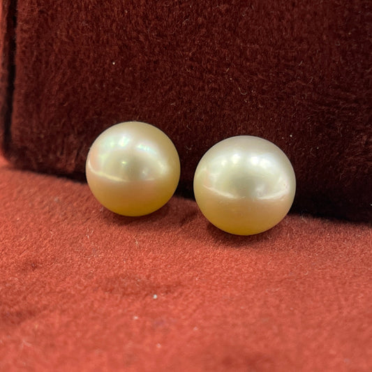 South Sea Pearl | CreamColor | Oval Shape| 11.5MM (Approx.) Size