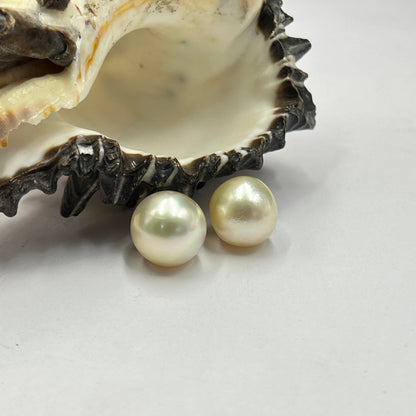 South Sea Pearl | Cream Color | Near Round Shape| 11MM (Approx.) Size