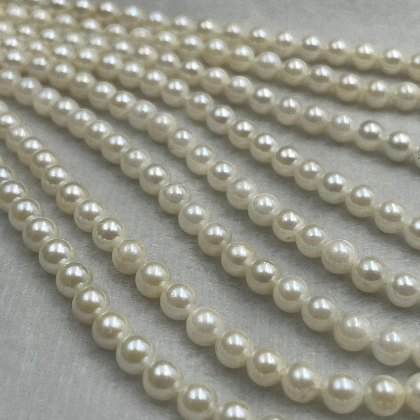 Akoya Pearl, Cream Color Round Shape, 5.5 MM Size, AA Luster Pearl, 16 Inch Length