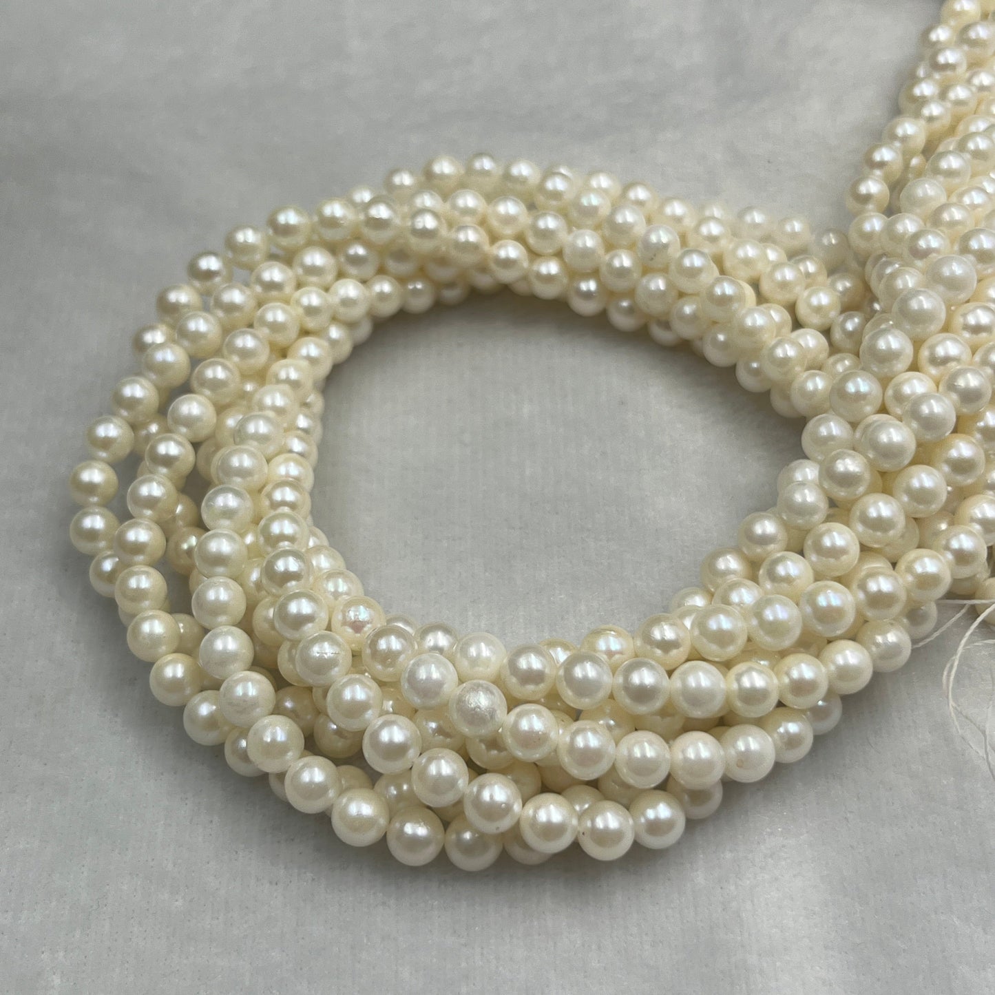 Akoya Pearl, Cream Color Round Shape, 5.5 MM Size, AA Luster Pearl, 16 Inch Length