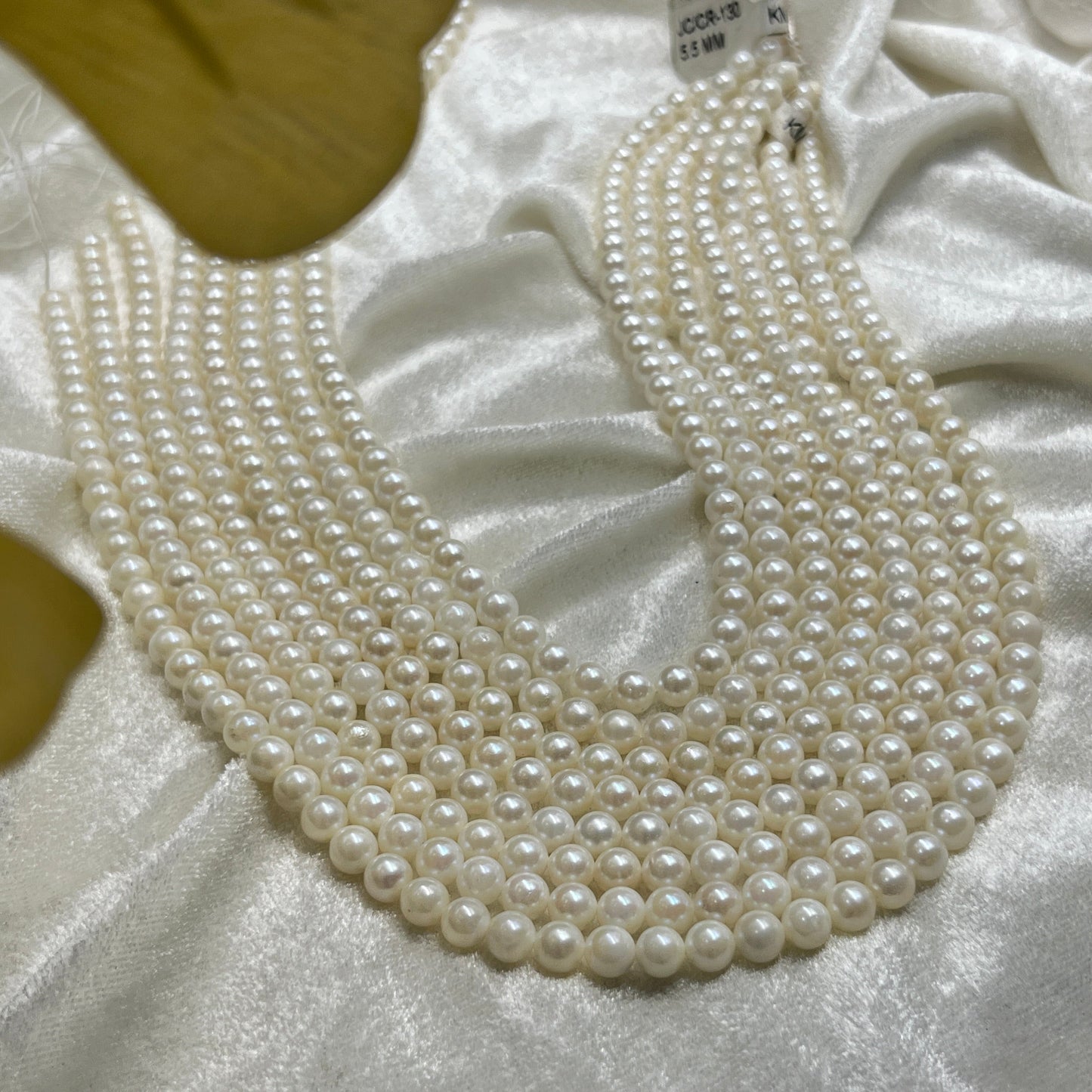 Akoya Pearl, Cream Color Round Shape, 5.5 MM Size, AA Luster Pearl, 16 Inch Length