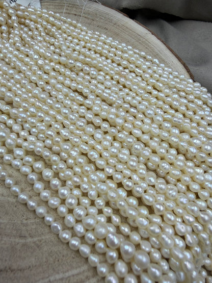 Freshwater Pearl ,  Cream  Color, Uneven Shape, 4mm Size