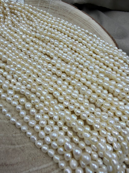 Freshwater Pearl ,  Cream  Color, Uneven Shape, 4mm Size