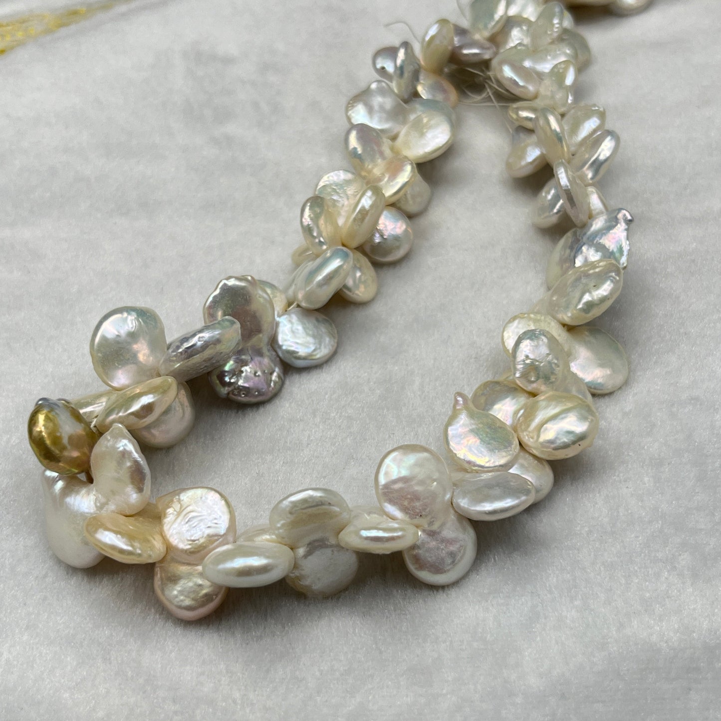Freshwater Pearl, Cream Color, Coin Shape, 13-13.5 MM Size