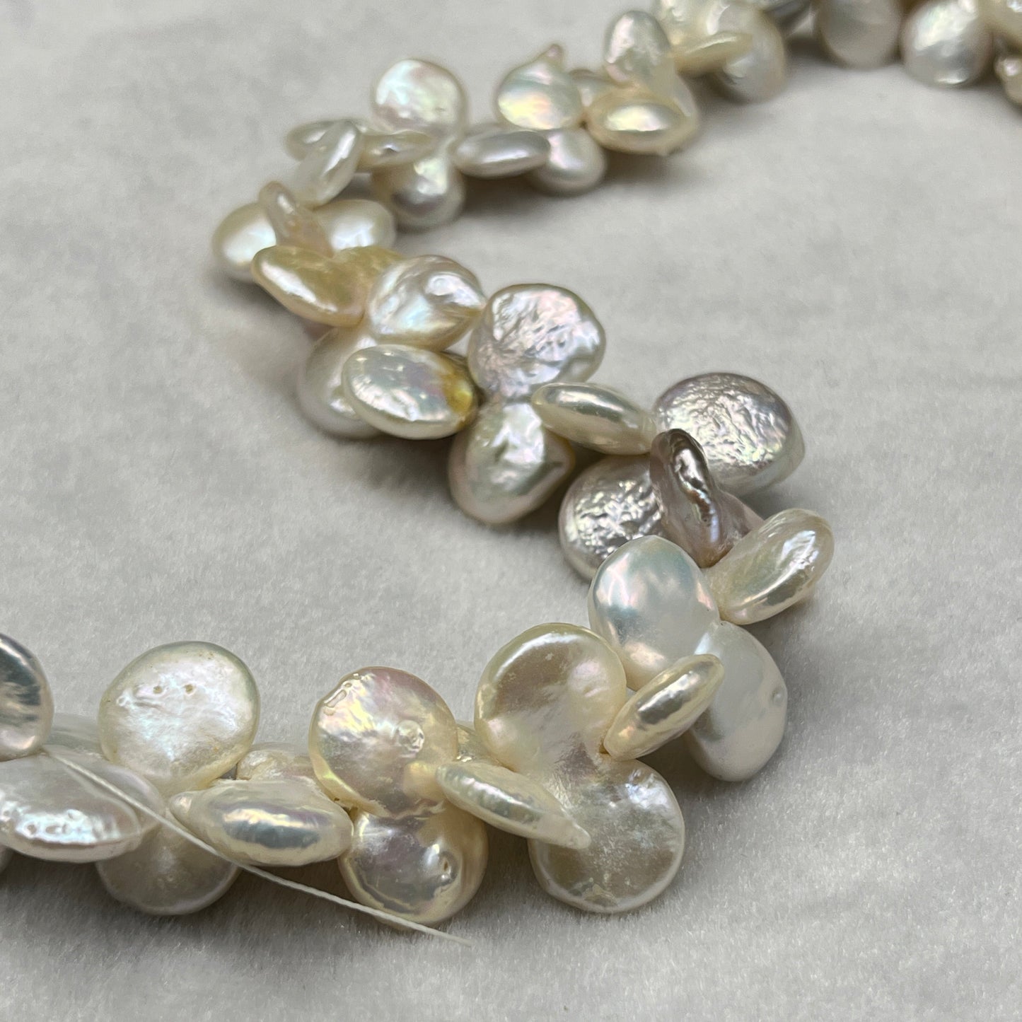 Freshwater Pearl, Cream Color, Coin Shape, 13-13.5 MM Size
