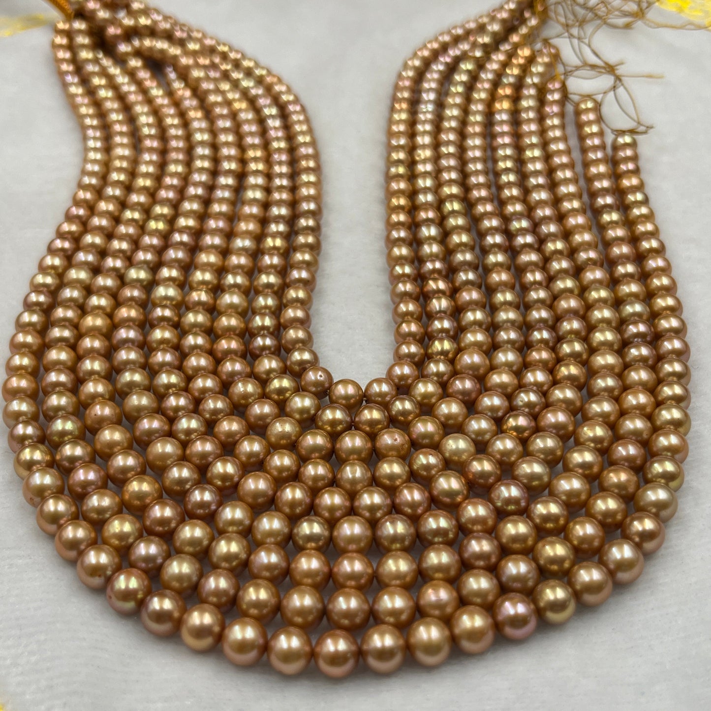 Freshwater Pearl, Brown Color, Oval Shape, 6-6.5 MM Size, AA Luster Pearl