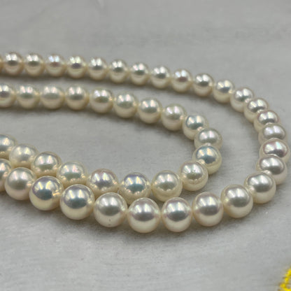 Freshwater Pearl, Off White Color ,Round  Shape