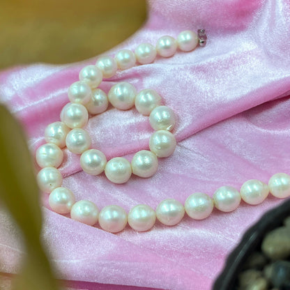 South Sea Pearl, Cream Color, Oval Shape, 11.5-15MM Size