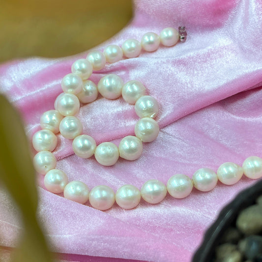 South Sea Pearl, Cream Color, Oval Shape, 11.5-15MM Size
