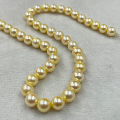 Freshwater Pearl, Light Golden Color, Rice Shape, 8-8.5 MM Size