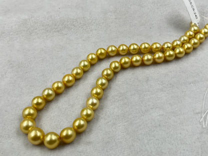 South Sea Pearl Golden Color, Round Shape, AAA/1 Luster Pearl, 9.5-11.5 MM Size