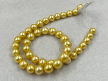 South Sea Pearl Golden Color, Round Shape, AAA/1 Luster Pearl, 9.5-11.5 MM Size