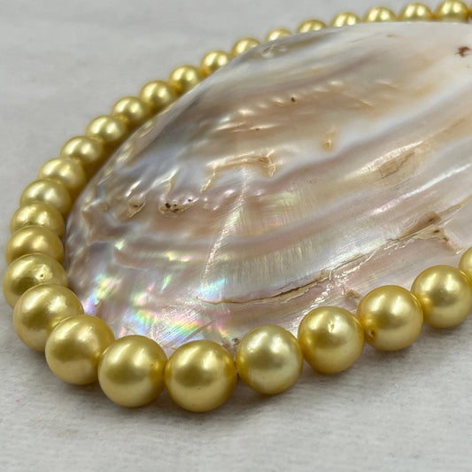 South Sea Pearl Golden Color, Round Shape, AAA/1 Luster Pearl, 9.5-11.5 MM Size