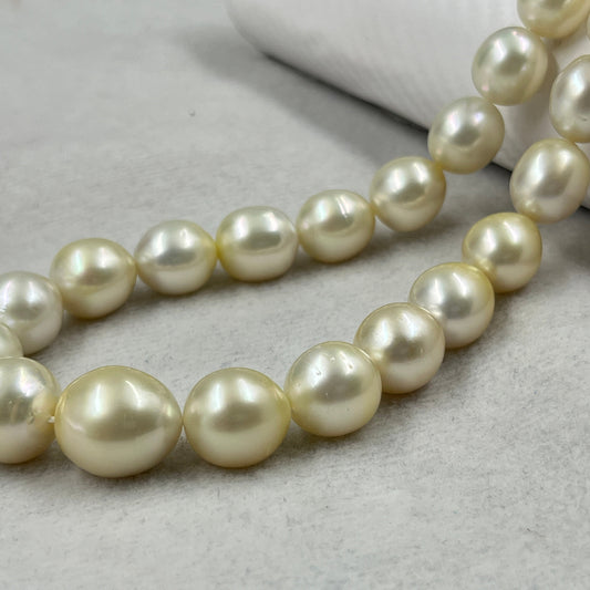 South Sea Pearl Cream Color, Oval Shape, AAA/1 Luster Pearl, 12-15 MM Size