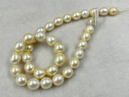 South Sea Pearl Cream Color, Oval Shape, AAA/1 Luster Pearl, 12-15 MM Size