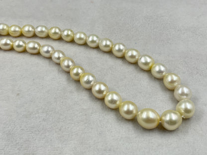 South Sea Pearl Cream Color, Oval Shape, AAA/1 Luster Pearl, 12-15 MM Size