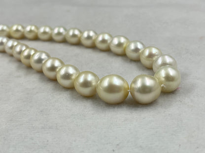 South Sea Pearl Cream Color, Oval Shape, AAA/1 Luster Pearl, 12-15 MM Size