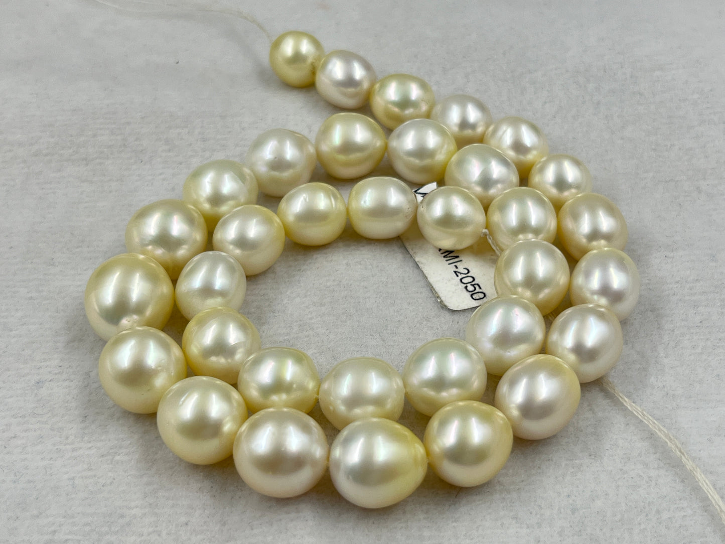 South Sea Pearl Cream Color, Oval Shape, AAA/1 Luster Pearl, 12-15 MM Size
