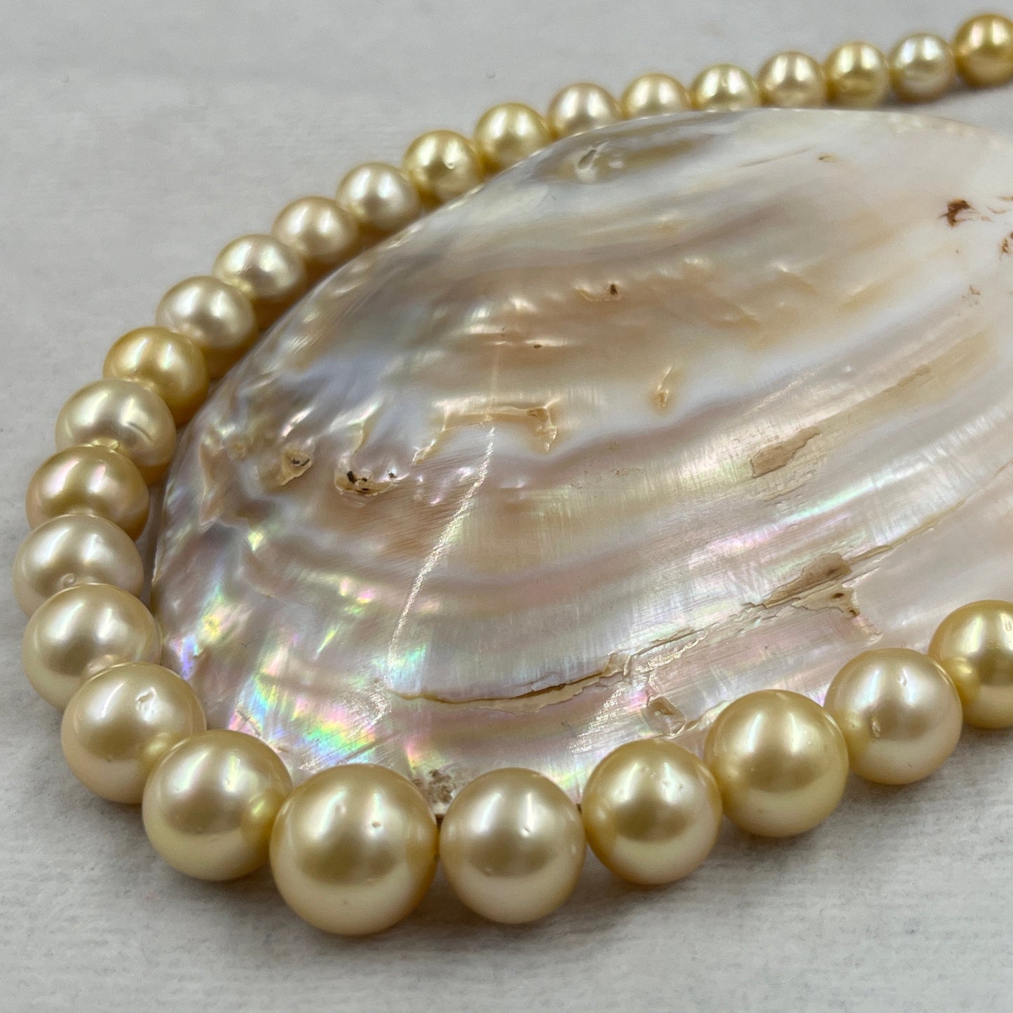 South Sea Pearl Light Golden Color, Round Shape, AAA/2 Luster Pearl, 10.5-14 MM Size