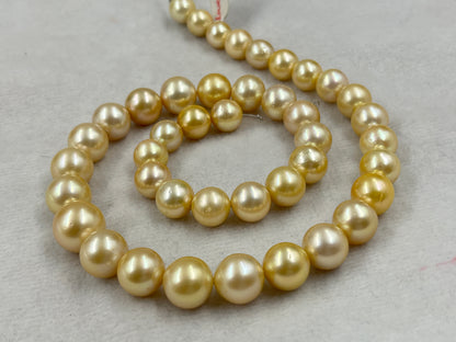 South Sea Pearl Light Golden Color, Round Shape, AAA/2 Luster Pearl, 10.5-14 MM Size