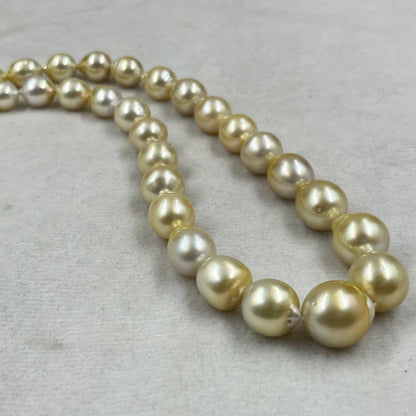 South Sea Pearl Light Golden Color, Drop Shape, AAA/1 Luster Pearl, 10-15.5 MM Size