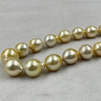 South Sea Pearl Light Golden Color, Drop Shape, AAA/1 Luster Pearl, 10-15.5 MM Size