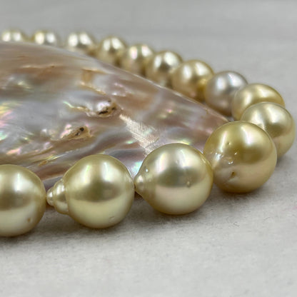 South Sea Pearl Light Golden Color, Drop Shape, AAA/1 Luster Pearl, 10-15.5 MM Size